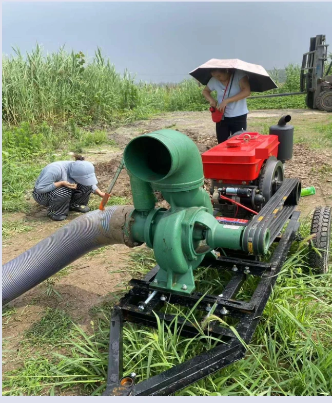 Diesel pump installation