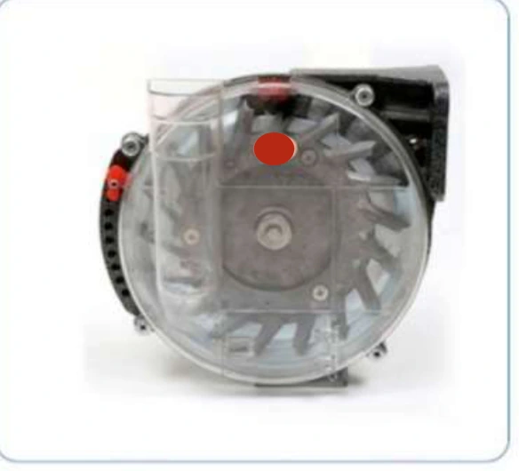 Corn seeding device