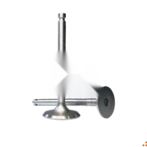In/Ex Valve