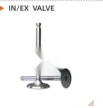 Product specifications — In/Ex Valve