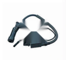 Ignition Coil assembly · GX100