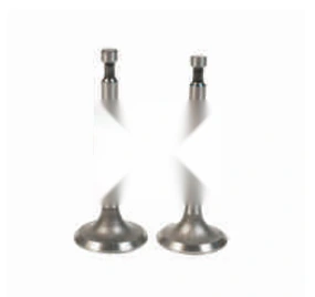 In Ex Valve · GX160