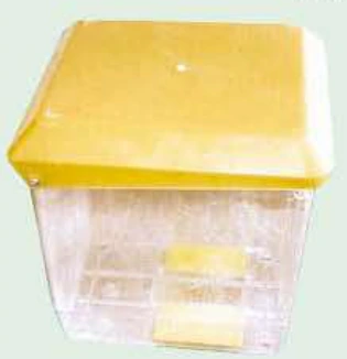 Three-Hole Transparent Seed Box